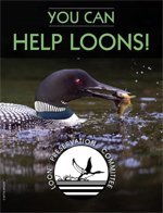 you-can-help-loons-pdf