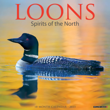 Loons Spirit of the North 2023 calendar