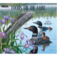 2023 Loons on the Lake calendar