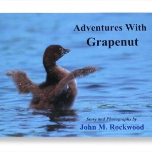 Adventures with Grapenut