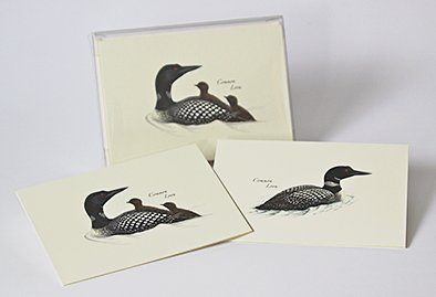 Boxed Loon Note Card Assortment