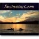 Fascinating Loons