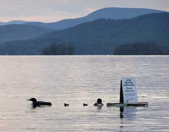 TheWork-loon-family-LPC-sig