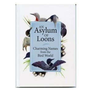 An Asylum of Loons