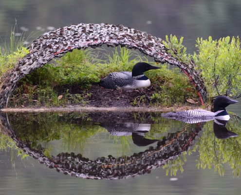 Loon Nest Rafts