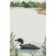 Large Loon Notepad
