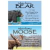 Advice from a Bear/Moose Magnet