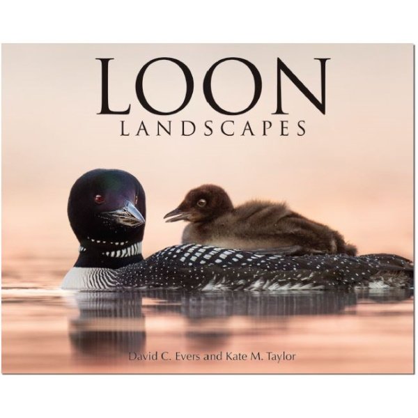 Loon Landscapes