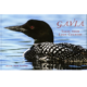 Cover image of Gavia - Tales from Loon Country