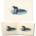 Loon Pair Boxed Note Cards