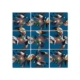 Waterbirds Scramble Squares Puzzle
