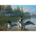 Puzzle - Common Loons