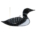 Loon Black and White Sun Catcher - 5052