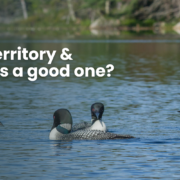 What is a territory & what makes a good one?