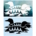 Loon Vinyl Decal For Car Window, Water Bottle or Laptop
