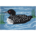 Northwoods Loons Rug