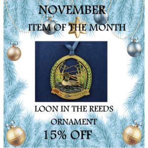 ITEM OF THE MONTH - 15%