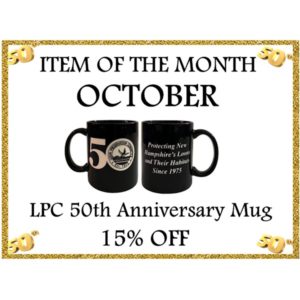 ITEM OF THE MONTH - 15%