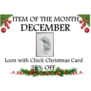 ITEM OF THE MONTH - 25%