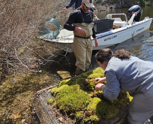 Resized_20250418_133745_1745017134067_Crop