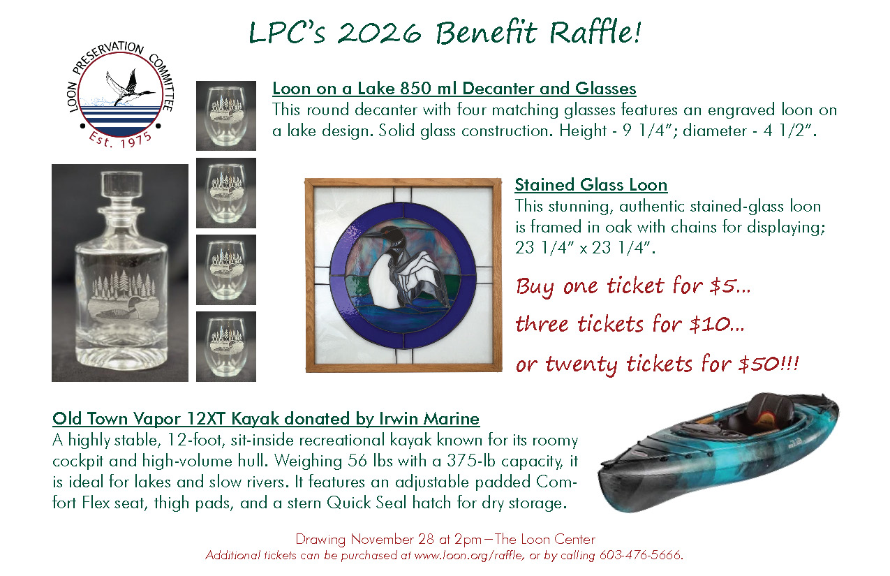 2026 Raffle insert
